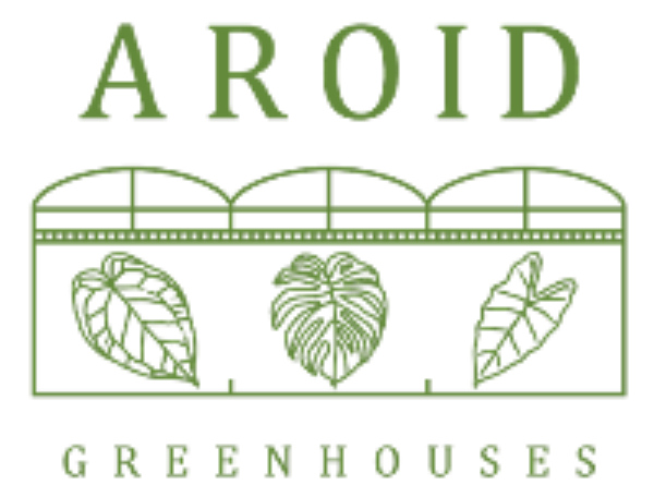 Premium Plants by Aroid Greenhouses